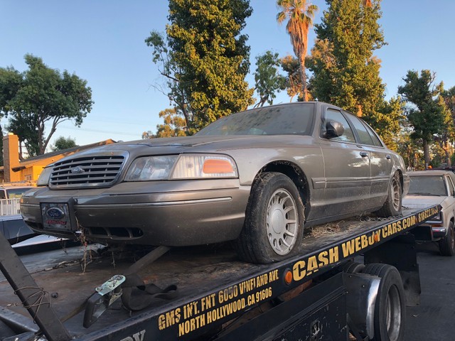 Cash Cash Cars