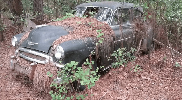 Junk Cars