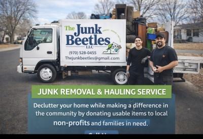 The junk beetles