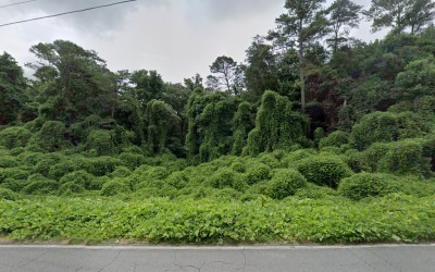 North GA Roadside, LLC