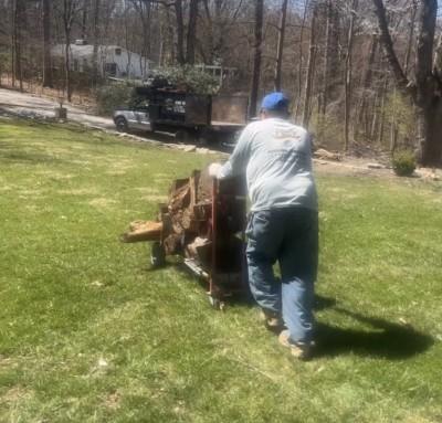 LiveJunkFree Junk Removal Alexandria