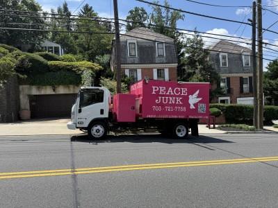 Peace Junk