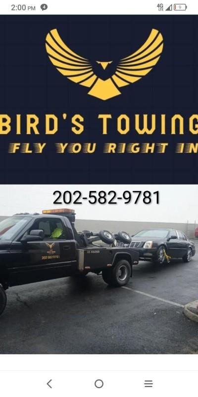 Bird's Towing