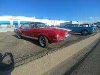 Mustang Paradise, Colorado Springs, Colorado
