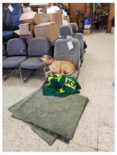 Portland Import Auto Parts06