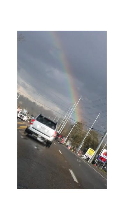 Chapman Enterprises Inc06