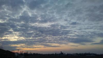 Ohio City Auto Salvage09