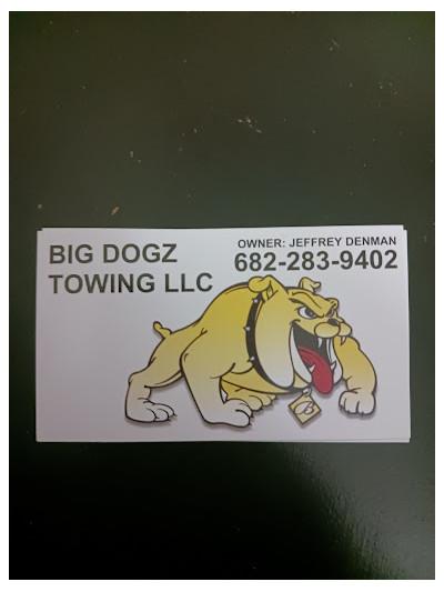 BIG DOGZ TOWING LLC, Arlington, Texas