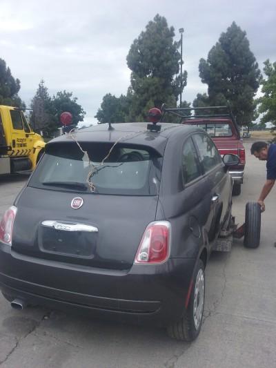 IAA Vehicle Purchasing, Fremont, California