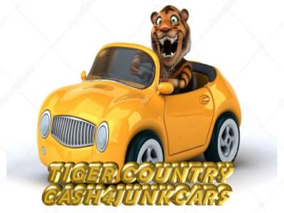 Tiger Country Cash 4 Junk Cars|We Buy Junk Cars, Memphis, Tennessee