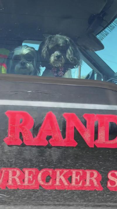 Randy's Wrecker Services