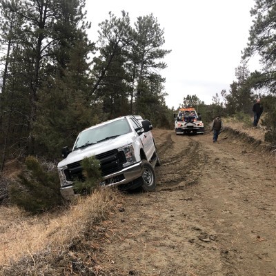 American TOWS