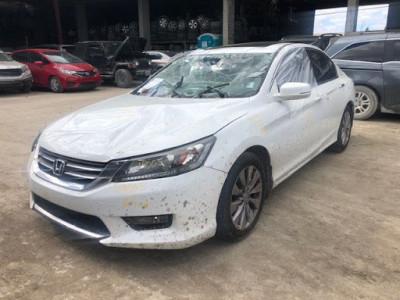 JDM Honda Kings, Opa Locka, Florida