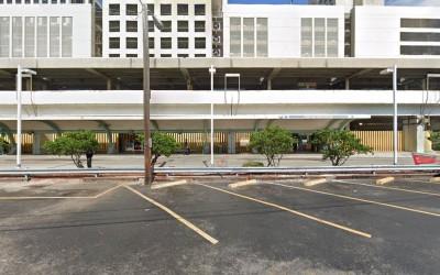 Professional Auto Transporters, Miami, Florida