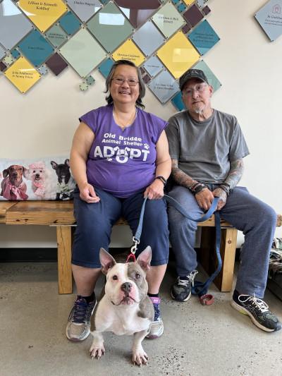Humane Society of Westchester, New Rochelle, New York