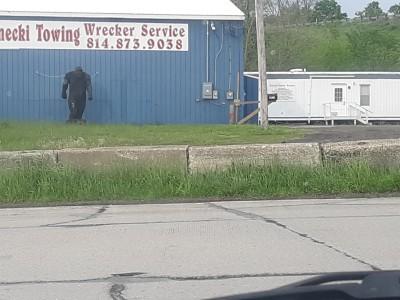BR Czarnecki Towing, Erie, Pennsylvania