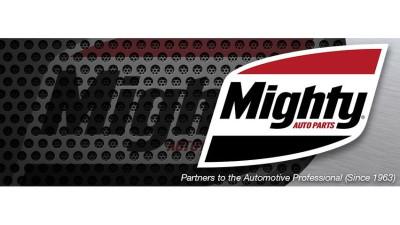 Mighty Auto Parts, Farmington Hills, Michigan