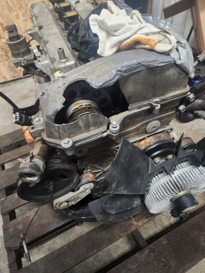 Olive autosalvage
