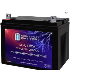 Mighty Max Battery