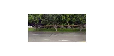 U.S. Auto Parts Network, Inc., Torrance, California