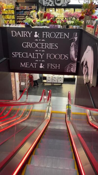 MORTON WILLIAMS SUPERMARKETS, New York, New York