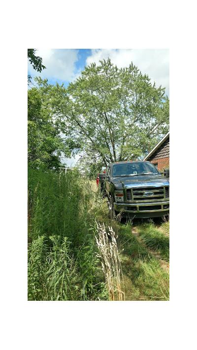 D&M Towing and Auto Recovery, Toledo, Ohio
