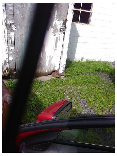 Colonie Garage Inc