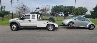Segura's Towing