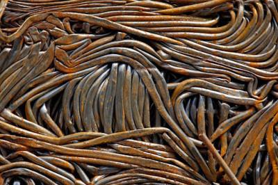 Gulf Coast Scrap Metal, Houston, Texas