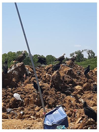 Charles County Landfill