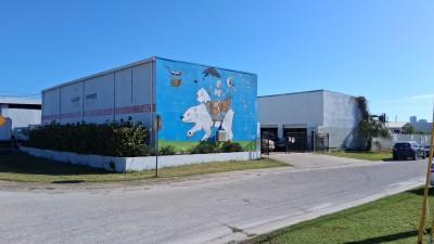 Allums European Automotive, St. Petersburg, Florida