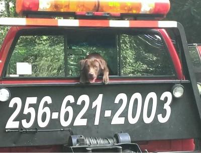 AA Wrecker Service, Hartselle, Alabama