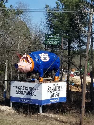 Schnitzer the Pig, Dothan, Alabama