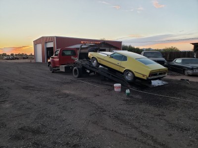Auto Resurrection