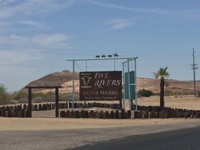 Five Rivers Cattle Feeding- McElhaney Feedyard, Wellton, Arizona