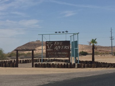 Five Rivers Cattle Feeding- McElhaney Feedyard