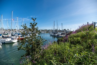 TowBoatUS Santa Cruz