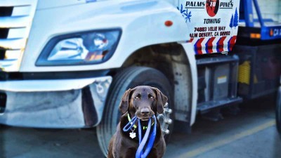 Palms to Pines Towing