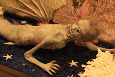 Discoversea Shipwreck Museum, Fenwick Island, Delaware