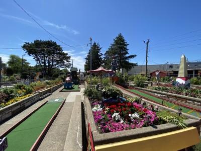 Novelty Golf & Games
