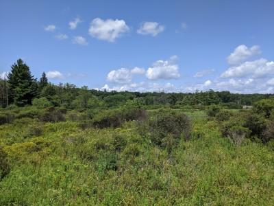 Loch Lynn Heights Wetlands Trail, Loch Lynn Heights, Maryland