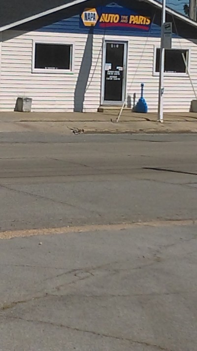 NAPA Auto Parts - Auto Tire and Parts