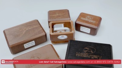 SALVAGEDATA Recovery Services
