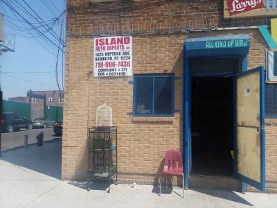 ISLAND AUTO EXPERTS INC., Brooklyn, New York