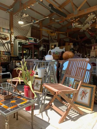 Small Holdings Farm, Aquebogue, New York
