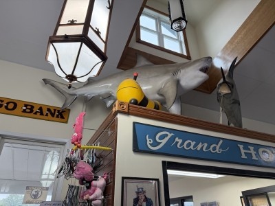 East Aurora Antique Mall