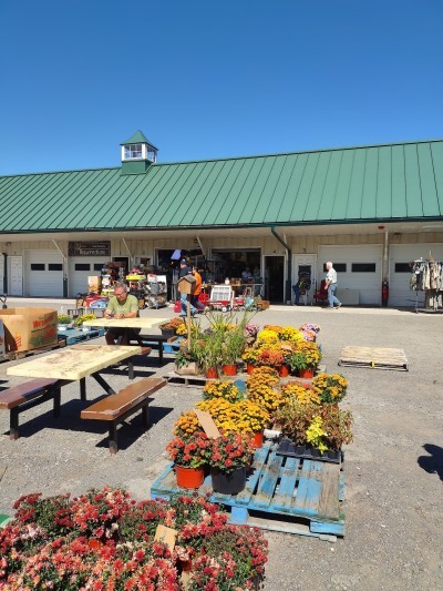 East Aurora Flea & Farmers Market