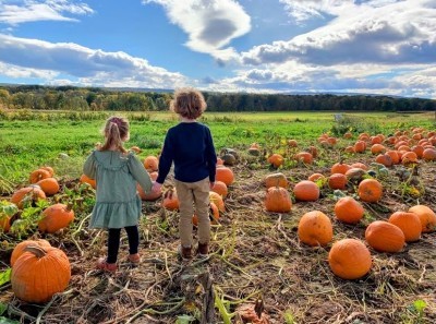 Kelder's Farm