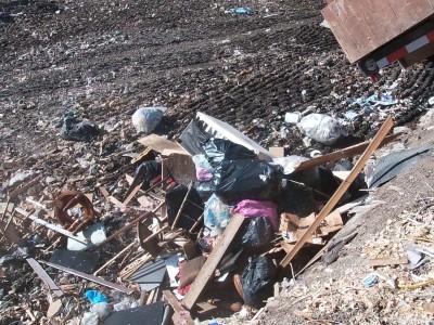 Solis and Sons Trash Pickup/Junk Removal services
