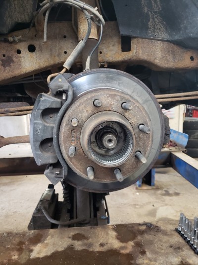 Basil's Repair